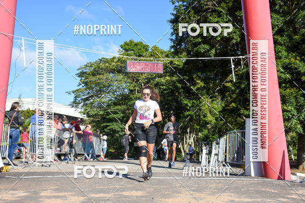 Buy your photos of the eventVibe Run on Fotop