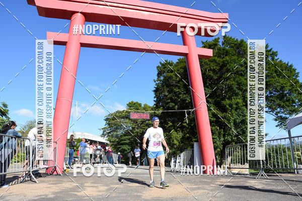 Buy your photos of the eventVibe Run on Fotop