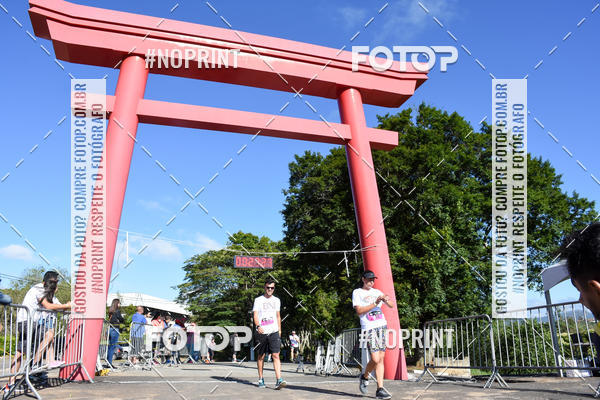 Buy your photos of the eventVibe Run on Fotop