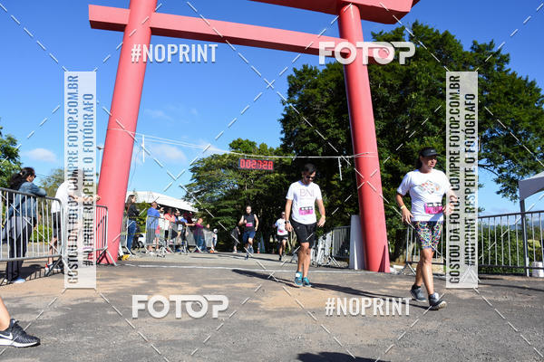 Buy your photos of the eventVibe Run on Fotop