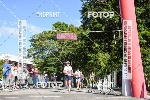 Buy your photos of the eventVibe Run on Fotop