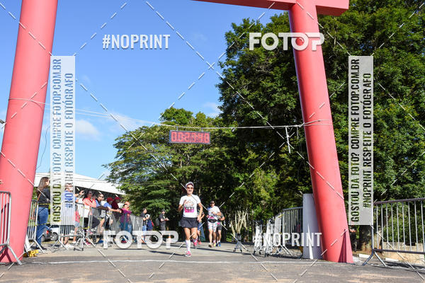 Buy your photos of the eventVibe Run on Fotop