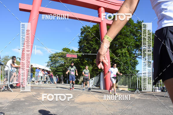Buy your photos of the eventVibe Run on Fotop