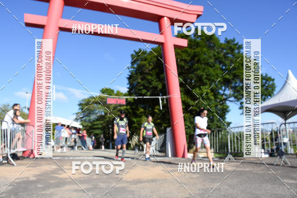 Buy your photos of the eventVibe Run on Fotop