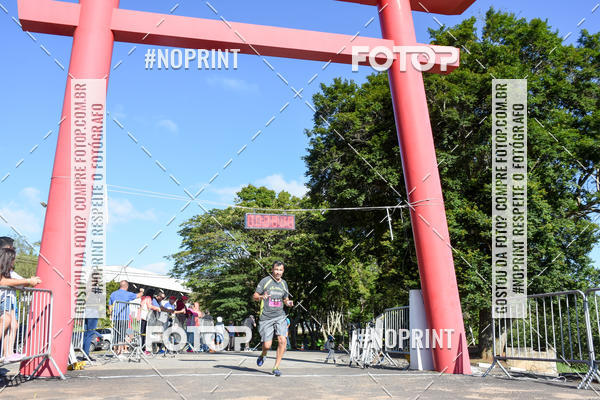 Buy your photos of the eventVibe Run on Fotop