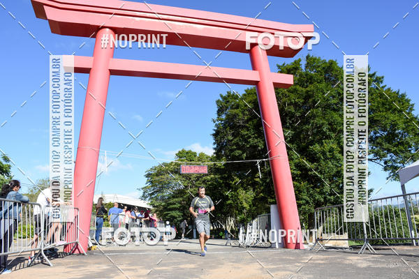 Buy your photos of the eventVibe Run on Fotop