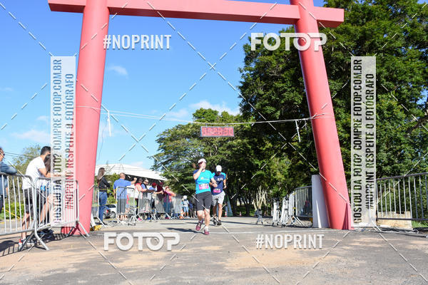 Buy your photos of the eventVibe Run on Fotop