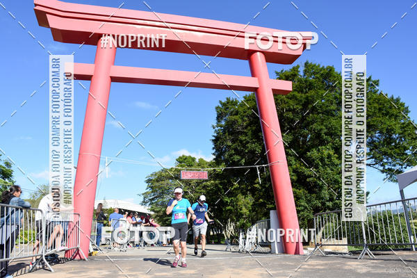 Buy your photos of the eventVibe Run on Fotop