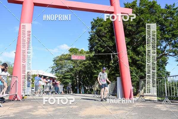 Buy your photos of the eventVibe Run on Fotop