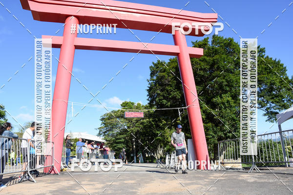 Buy your photos of the eventVibe Run on Fotop