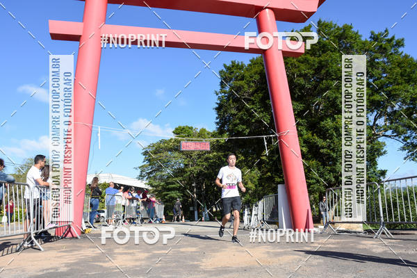 Buy your photos of the eventVibe Run on Fotop