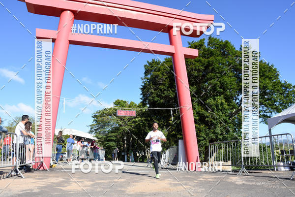 Buy your photos of the eventVibe Run on Fotop