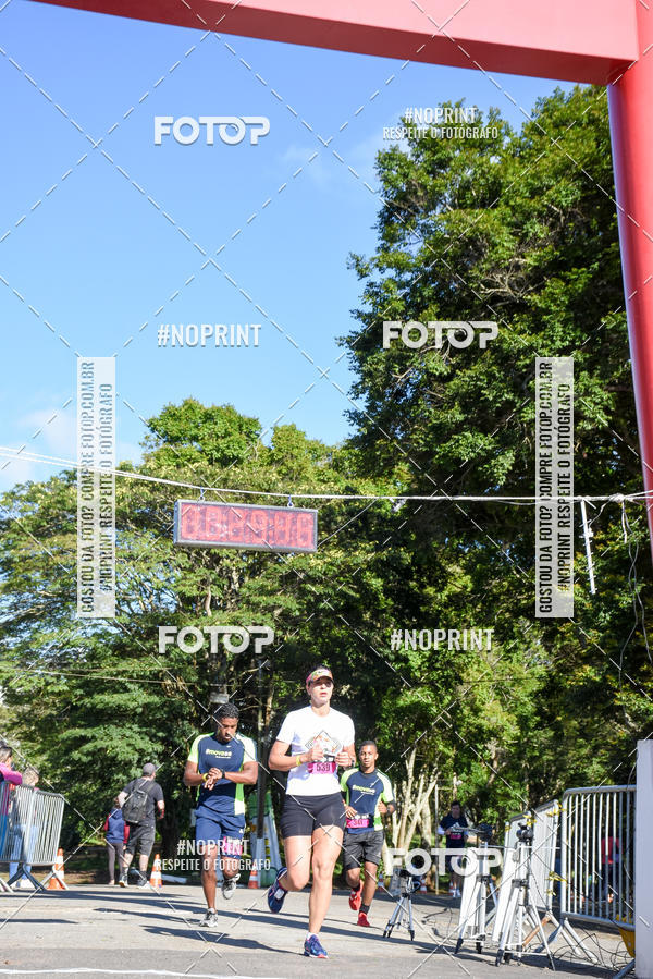 Buy your photos of the eventVibe Run on Fotop