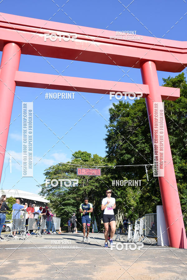 Buy your photos of the eventVibe Run on Fotop