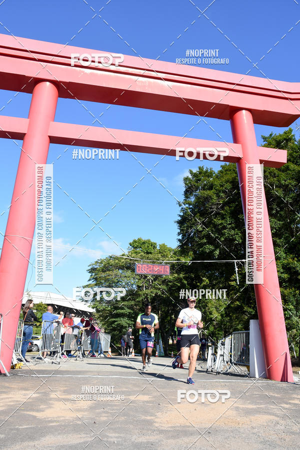 Buy your photos of the eventVibe Run on Fotop