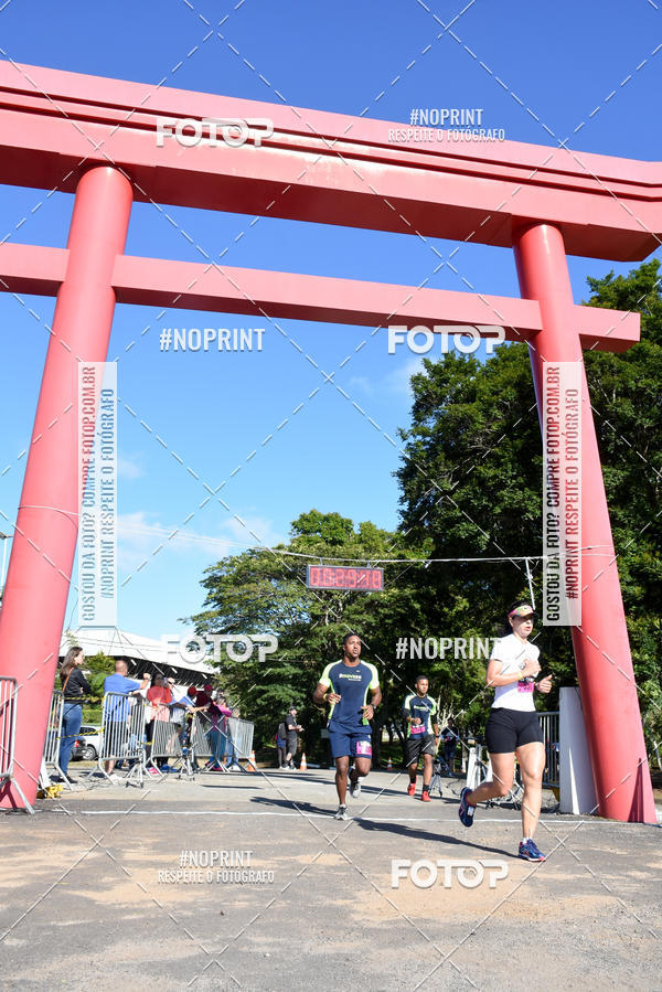 Buy your photos of the eventVibe Run on Fotop