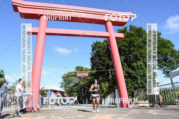 Buy your photos of the eventVibe Run on Fotop