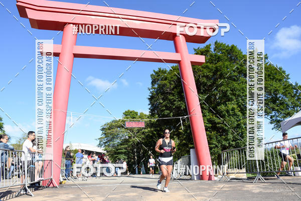 Buy your photos of the eventVibe Run on Fotop