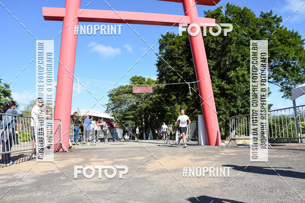 Buy your photos of the eventVibe Run on Fotop