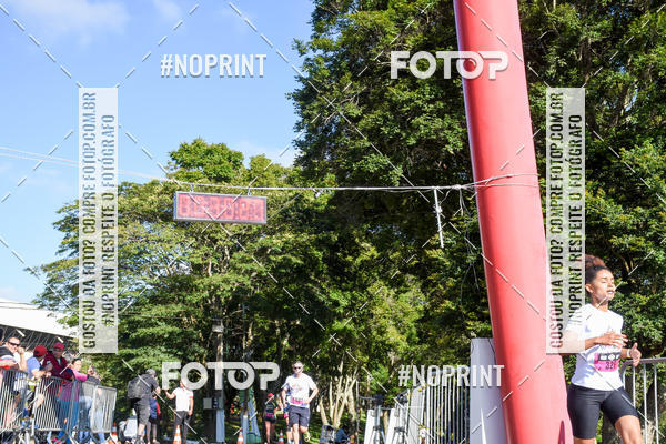 Buy your photos of the eventVibe Run on Fotop