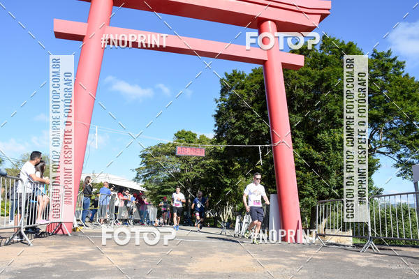 Buy your photos of the eventVibe Run on Fotop