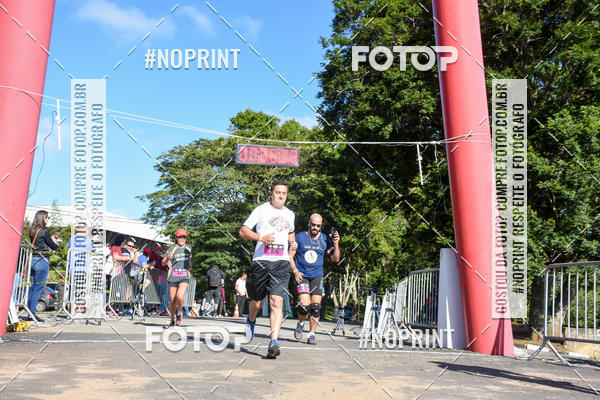Buy your photos of the eventVibe Run on Fotop