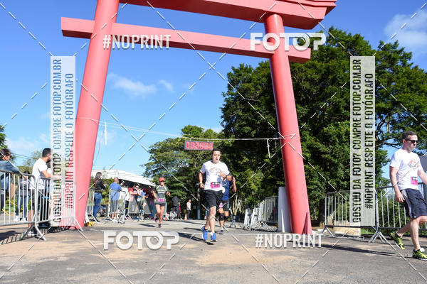 Buy your photos of the eventVibe Run on Fotop