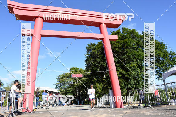 Buy your photos of the eventVibe Run on Fotop