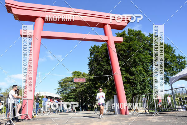 Buy your photos of the eventVibe Run on Fotop