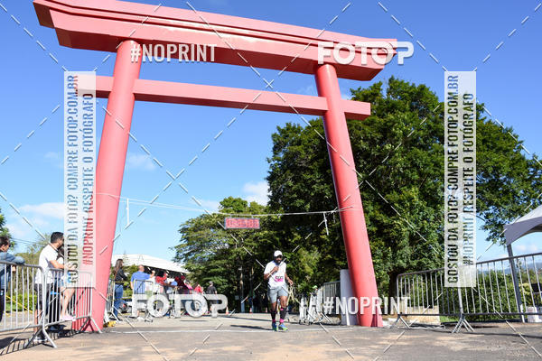 Buy your photos of the eventVibe Run on Fotop