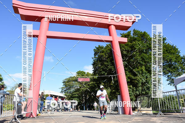 Buy your photos of the eventVibe Run on Fotop