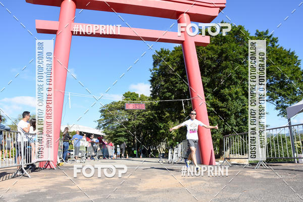 Buy your photos of the eventVibe Run on Fotop