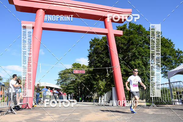 Buy your photos of the eventVibe Run on Fotop