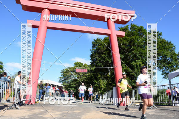 Buy your photos of the eventVibe Run on Fotop