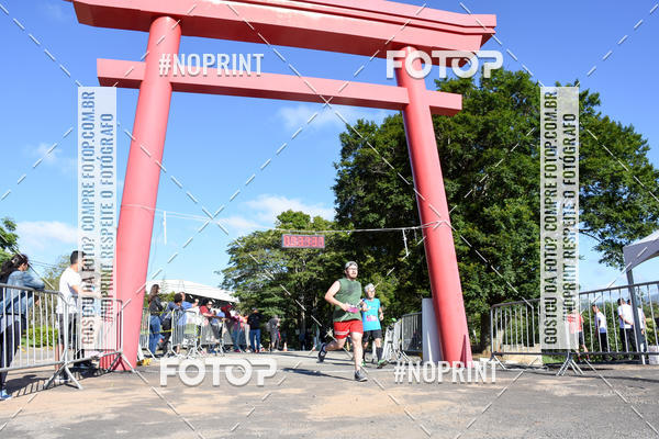 Buy your photos of the eventVibe Run on Fotop