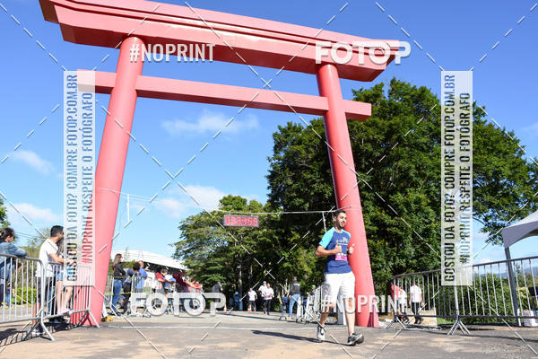 Buy your photos of the eventVibe Run on Fotop