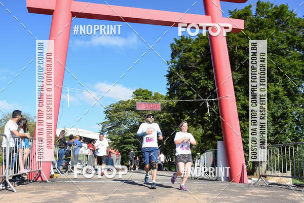 Buy your photos of the eventVibe Run on Fotop