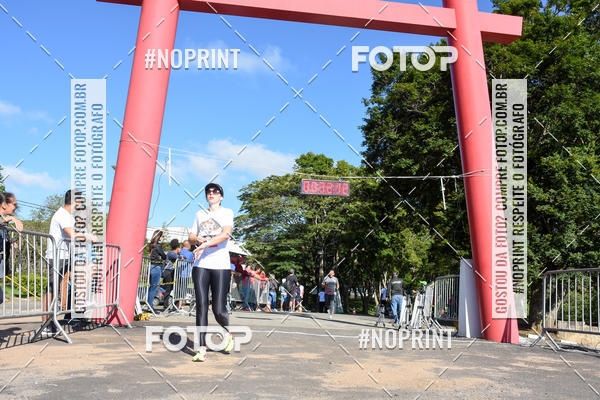 Buy your photos of the eventVibe Run on Fotop