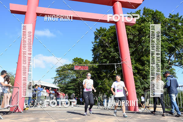 Buy your photos of the eventVibe Run on Fotop