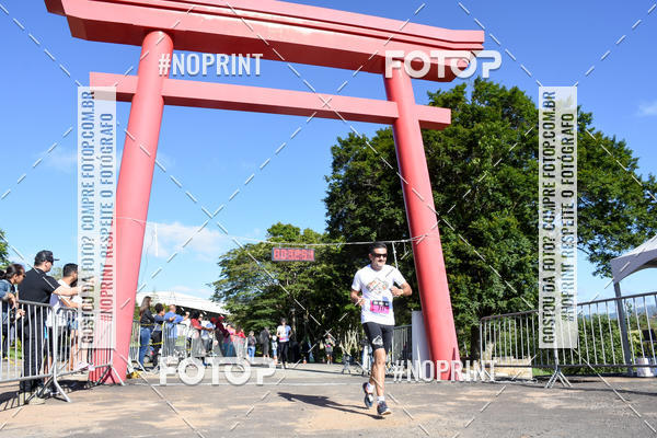 Buy your photos of the eventVibe Run on Fotop