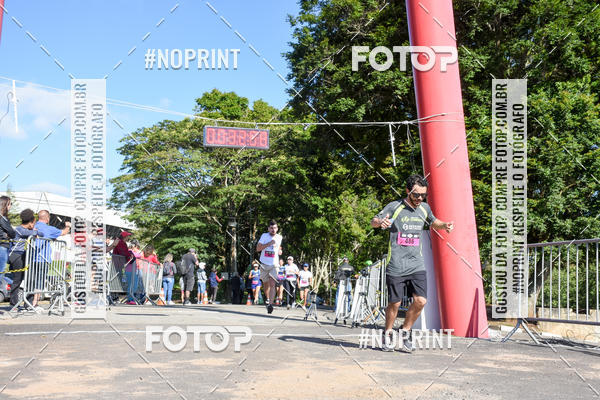 Buy your photos of the eventVibe Run on Fotop