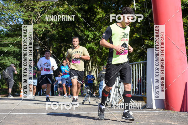 Buy your photos of the eventVibe Run on Fotop