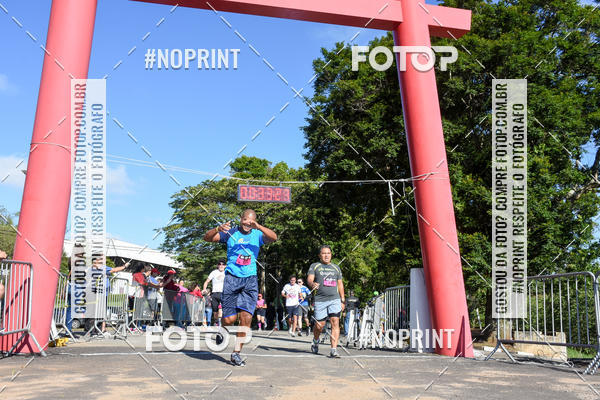 Buy your photos of the eventVibe Run on Fotop