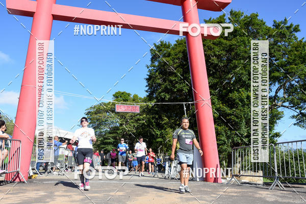 Buy your photos of the eventVibe Run on Fotop