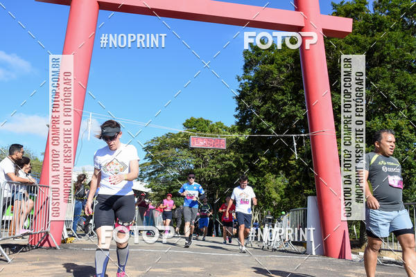 Buy your photos of the eventVibe Run on Fotop