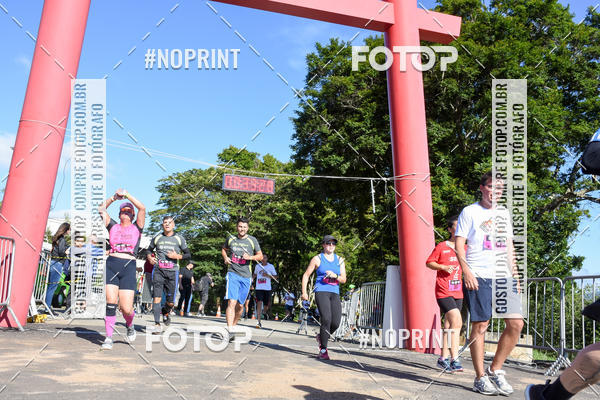 Buy your photos of the eventVibe Run on Fotop