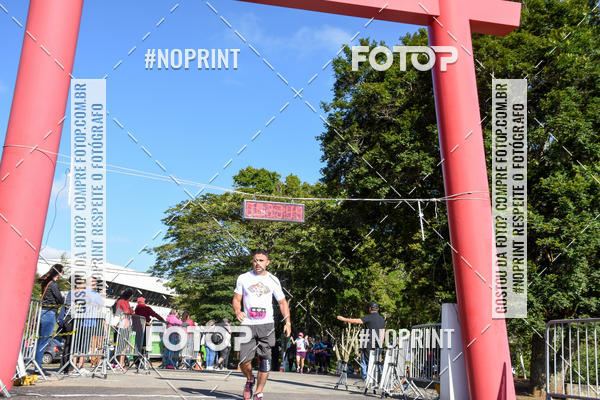 Buy your photos of the eventVibe Run on Fotop