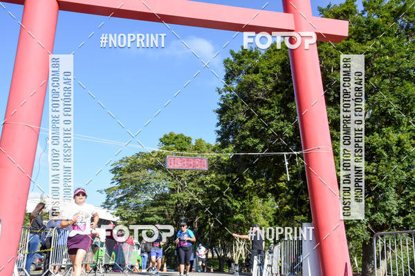 Buy your photos of the eventVibe Run on Fotop