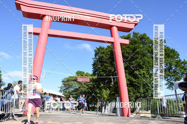 Buy your photos of the eventVibe Run on Fotop