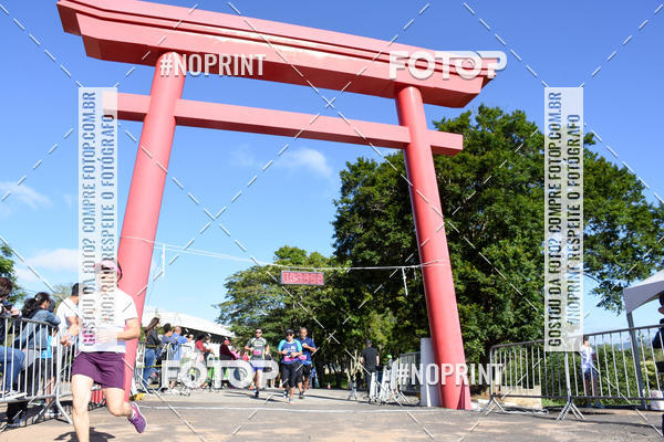 Buy your photos of the eventVibe Run on Fotop